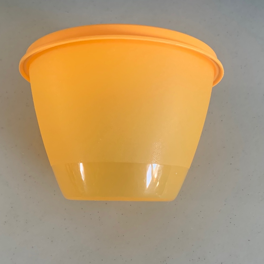 Tupperware Vibrant Orange Seal
